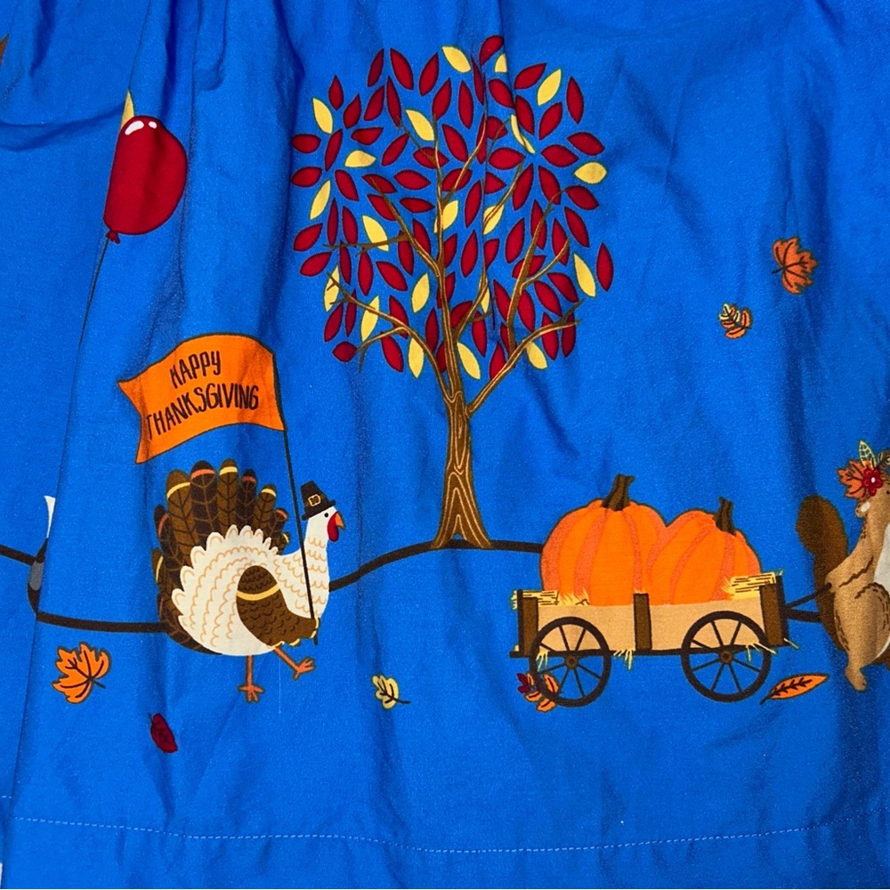 Eleanor Rose boutique Thanksgiving themed dress sz 6 EUC Smoke Free home - Picture 4 of 6